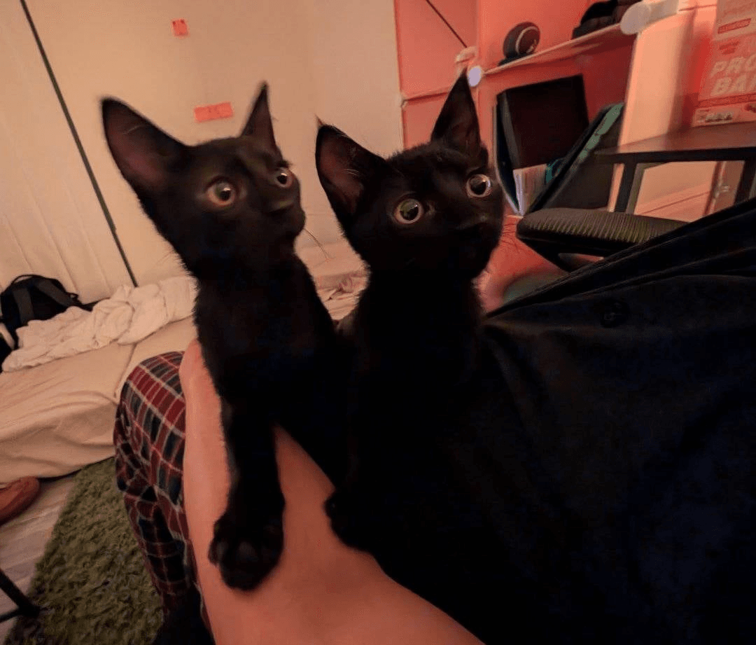 Poco & Loco 🖤