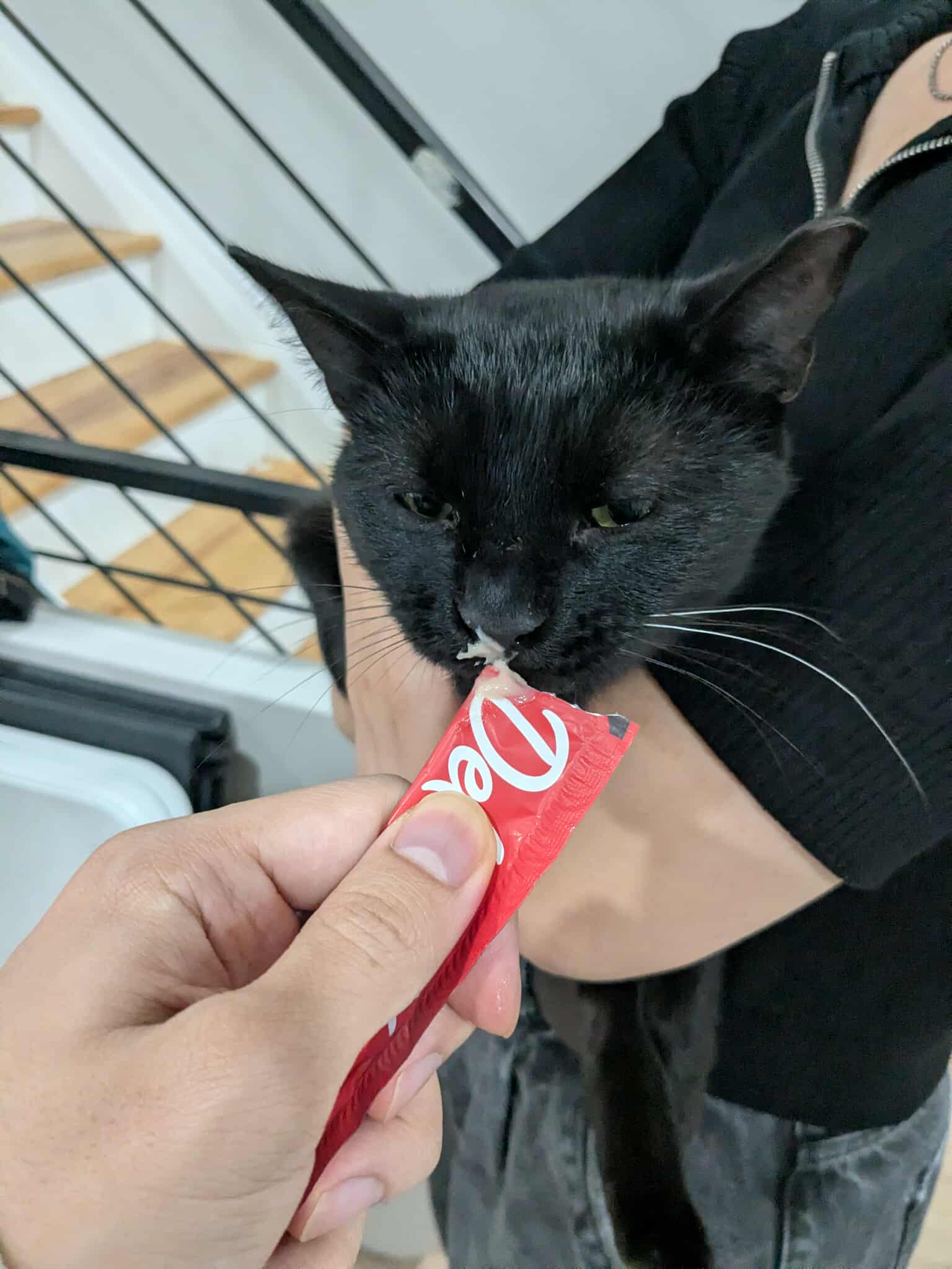 Bogo (now Salem) 🛍️